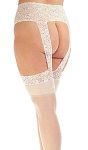 Plus Size Garter belt Hose