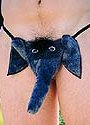 Elephant Pouch