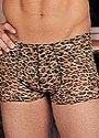 Men's Mesh Bun Hugger Shorts